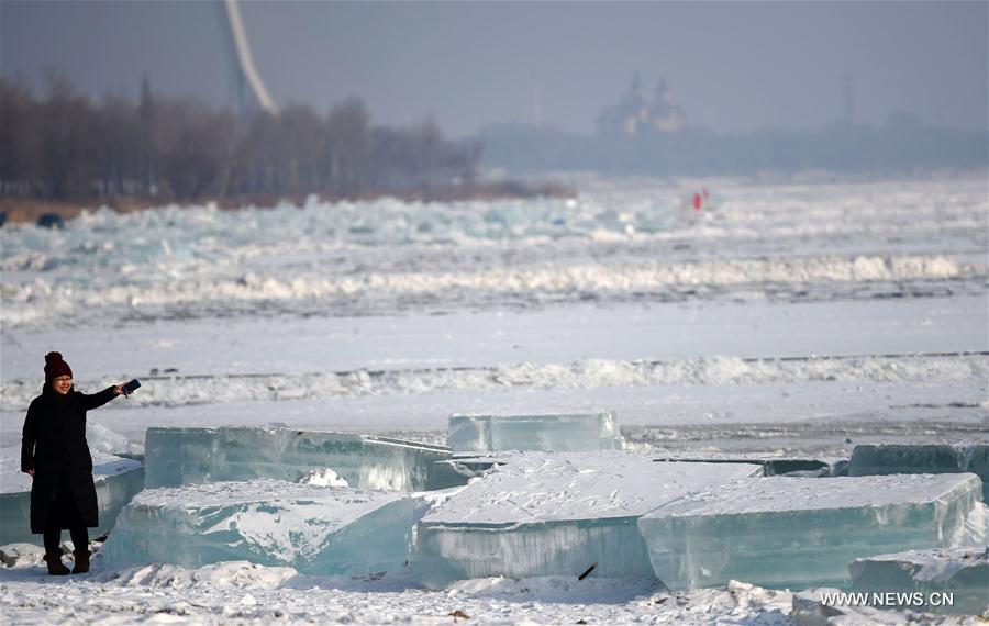 CHINA-HARBIN-ICE CUBE (CN)