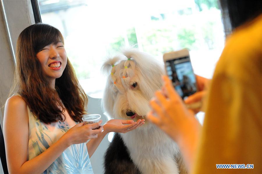 THAILAND-BANGKOK-DOG CAFE