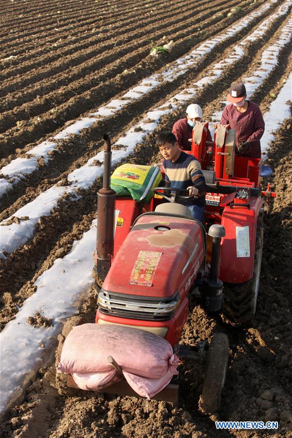 #CHINA-SPRING-FARM WORK (CN)