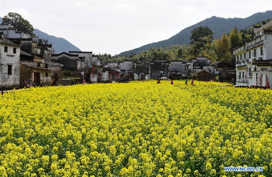 #CHINA-SPRING-SCENERY (CN)