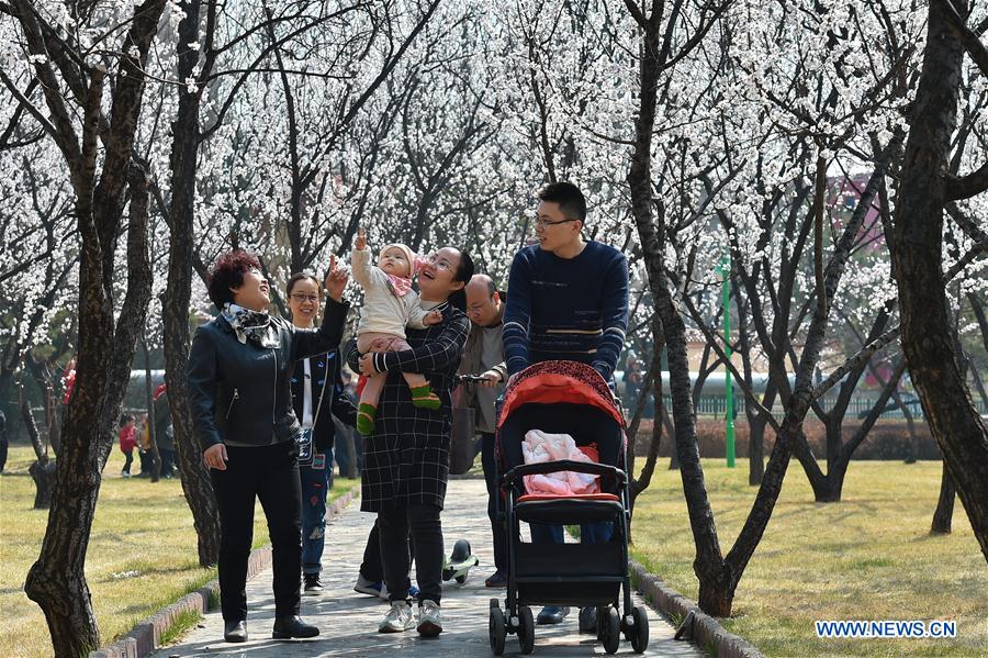 CHINA-SHANXI-ALMOND BLOSSOM-TOURISM (CN)