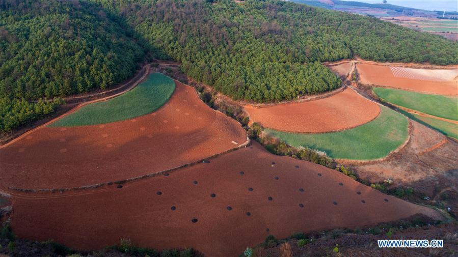 CHINA-YUNNAN-DONGCHUAN RED LAND-SCENERY (CN)