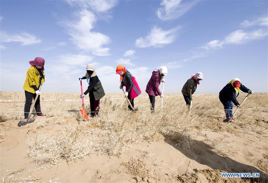 CHINA-INNER MONGOLIA-DESERT-GREENING (CN)