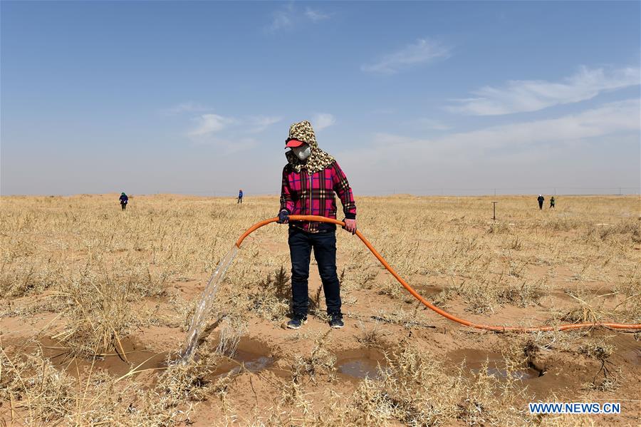 CHINA-INNER MONGOLIA-DESERT-GREENING (CN)