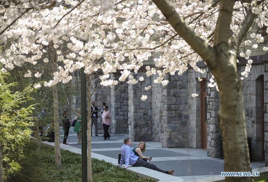 U.S.-PHILADELPHIA-SPRING-BLOSSOM