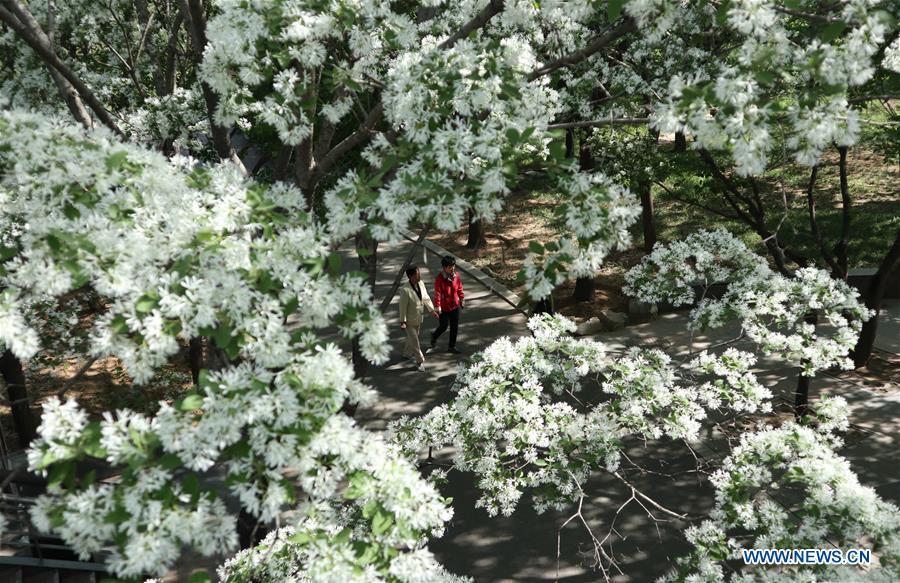 CHINA-SHANDONG-JINAN-FLOWERS (CN)