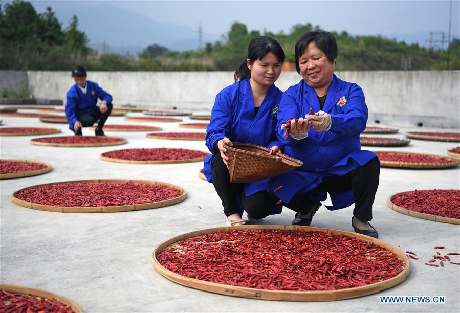 CHINA-JIANGXI-FENGXIN-RURAL ENTREPRENEURSHIP STORY 