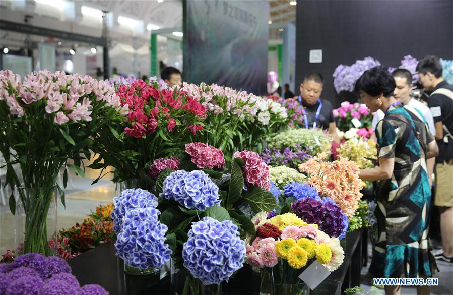 #CHINA-YUNNAN-KUNMING-INT'L FLOWER SHOW (CN)