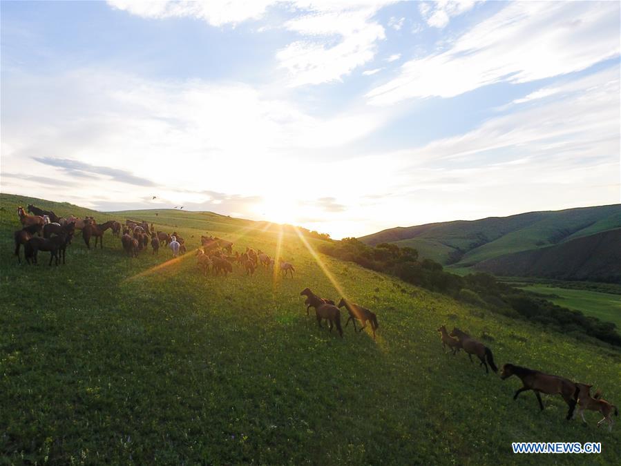 CHINA-INNER MONGOLIA-XILINGOL-GRASSLAND (CN)