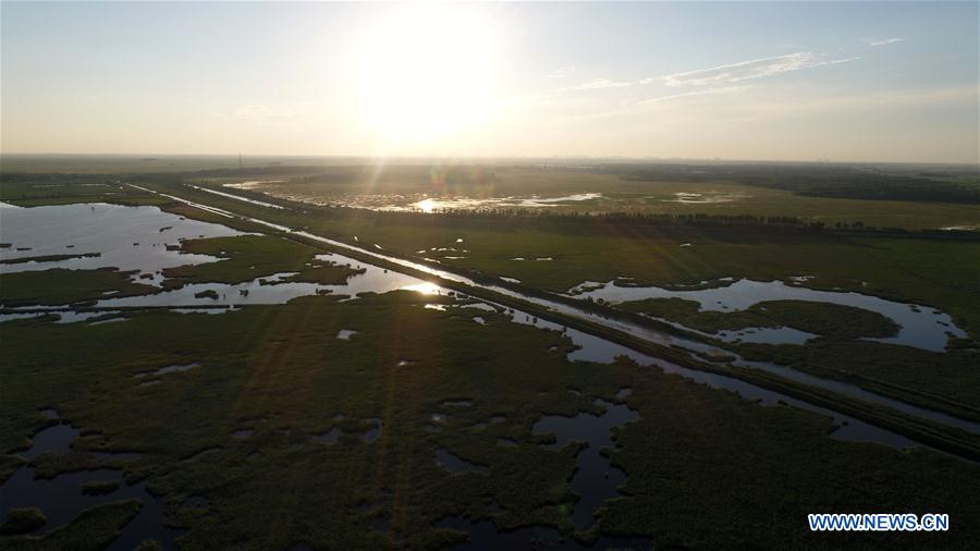 CHINA-HEILONGJIANG-QIQIHAR-NATURE RESERVE (CN)