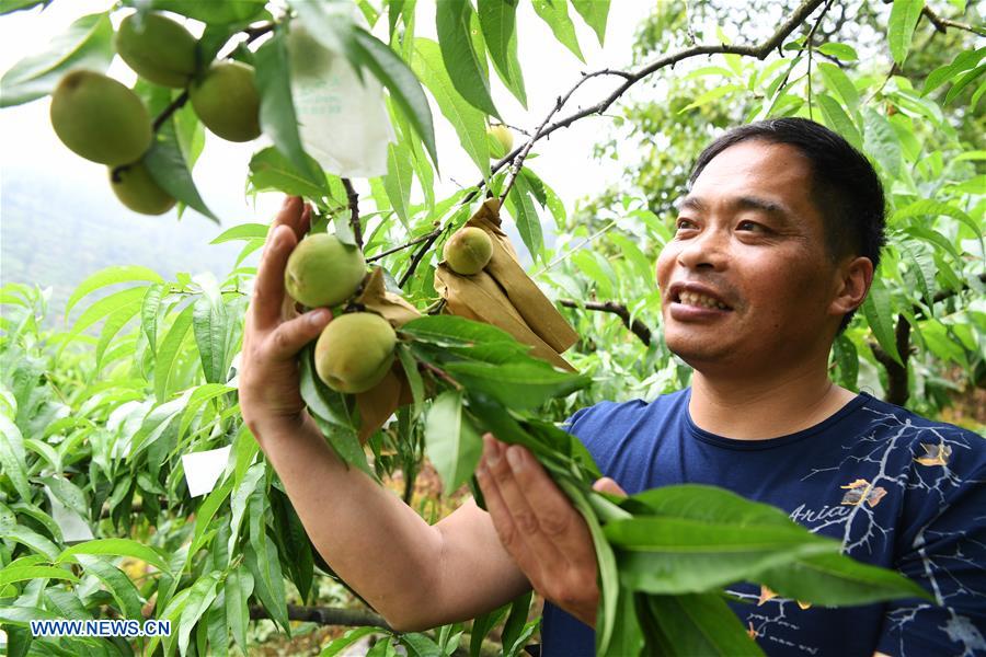 CHINA-CHONGQING-WULONG-POVERTY ALLEVIATION (CN)