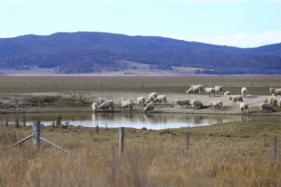 AUSTRALIA-LAKE GEORGE-DROUGHT