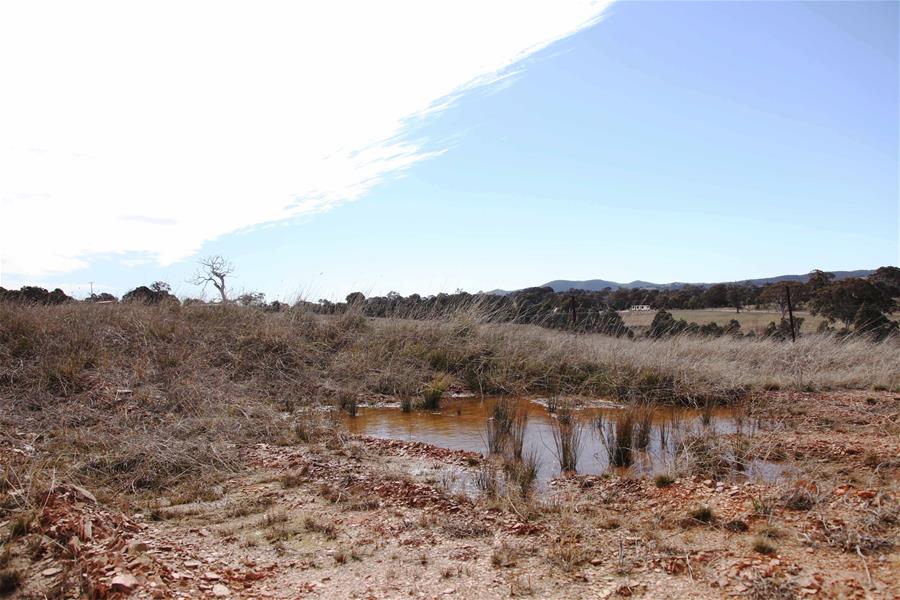 AUSTRALIA-YASS RIVER-DROUGHT