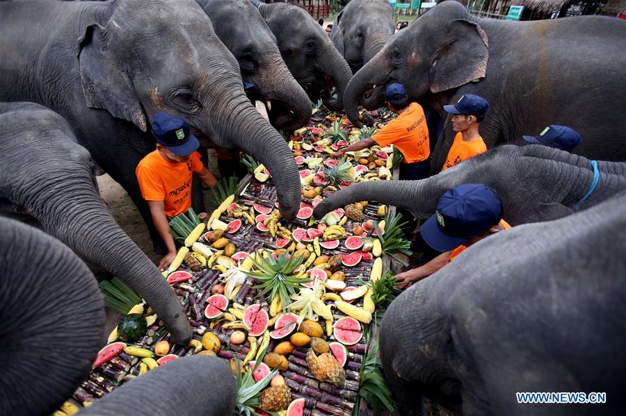 MYANMAR-BAGO-WORLD ELEPHANT DAY