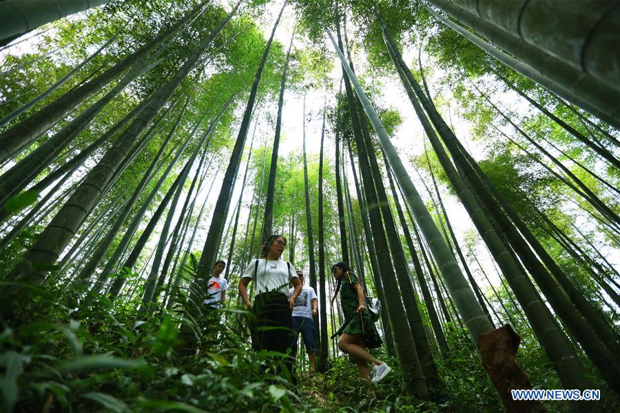 #CHINA-GUIZHOU-CHISHUI-SCENERY (CN)