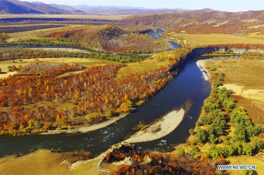 #CHINA-HULUN BUIR-AUTUMN SCENERY (CN)