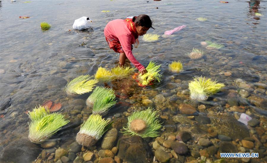 KASHMIR-JAMMU-NAVRATRI FESTIVAL