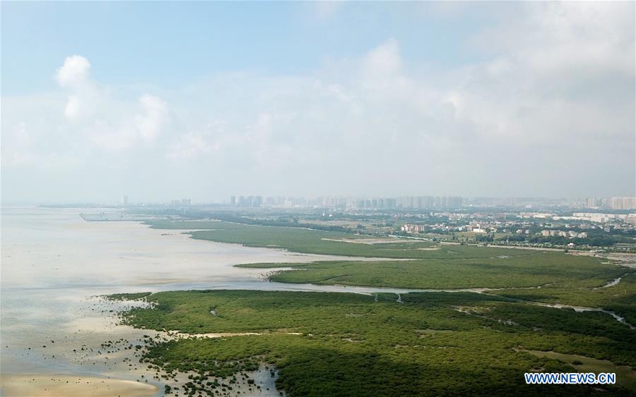 CHINA-GUANGXI-BEIHAI-MANGROVE CONSERVATION AREA(CN)