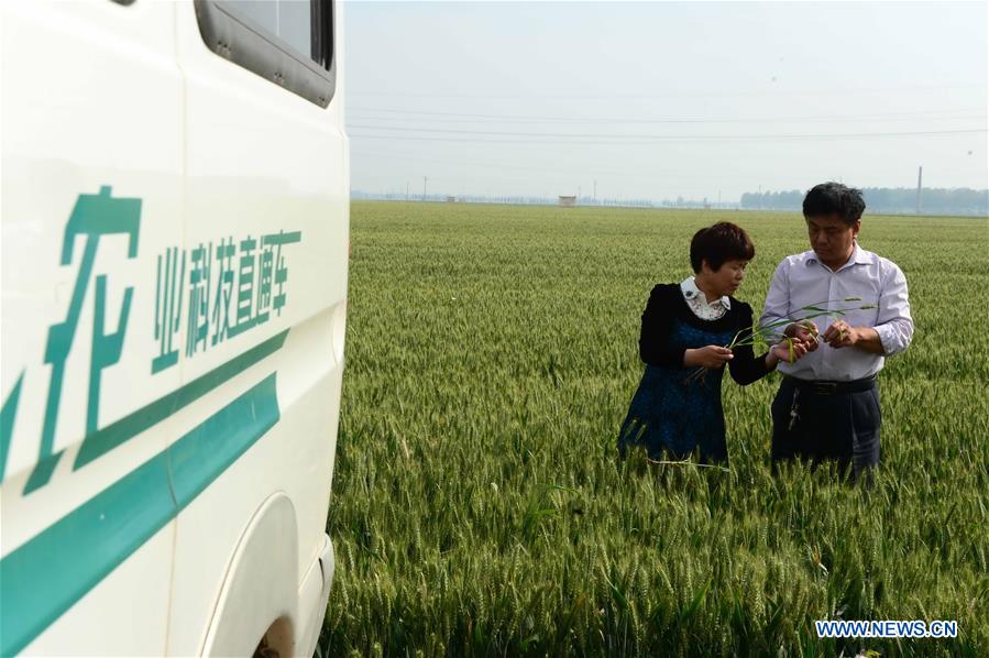 Xinhua Headlines: Big data reshaping harvest for Chinese farmers