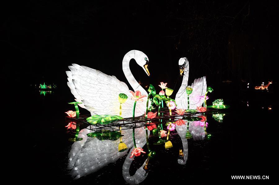 GERMANY-COLOGNE-CHINA LIGHT FESTIVAL