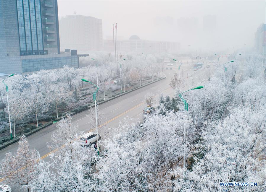 #CHINA-SHANXI-YUNCHENG-RIME SCENERY (CN)