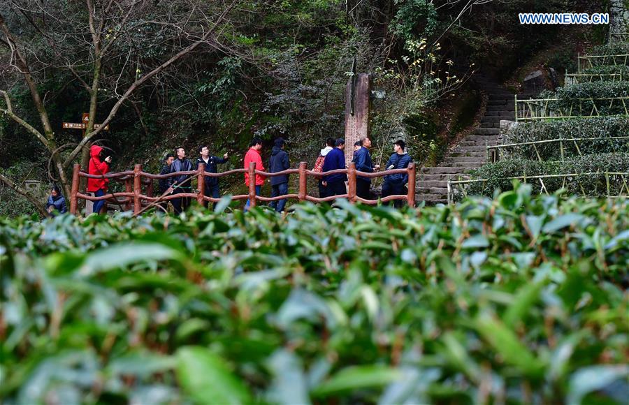 CHINA-FUJIAN-WUYI MOUNTAIN-SCENERY (CN)