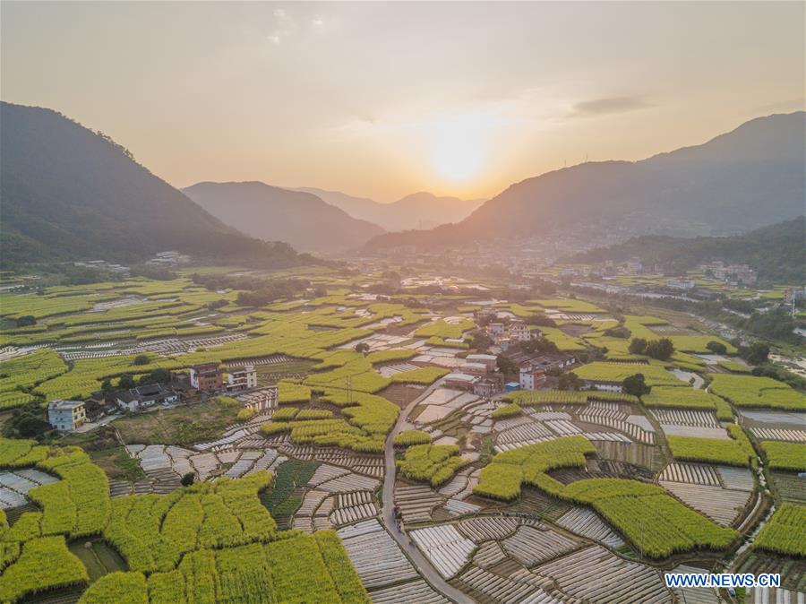 CHINA-FUJIAN-YONGCHUN-RURAL SCENERIES (CN) 