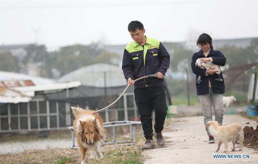 CHINA-JIANGSU-HIGHLY EDUCATED COUPLE-FARMING BUSINESS (CN)