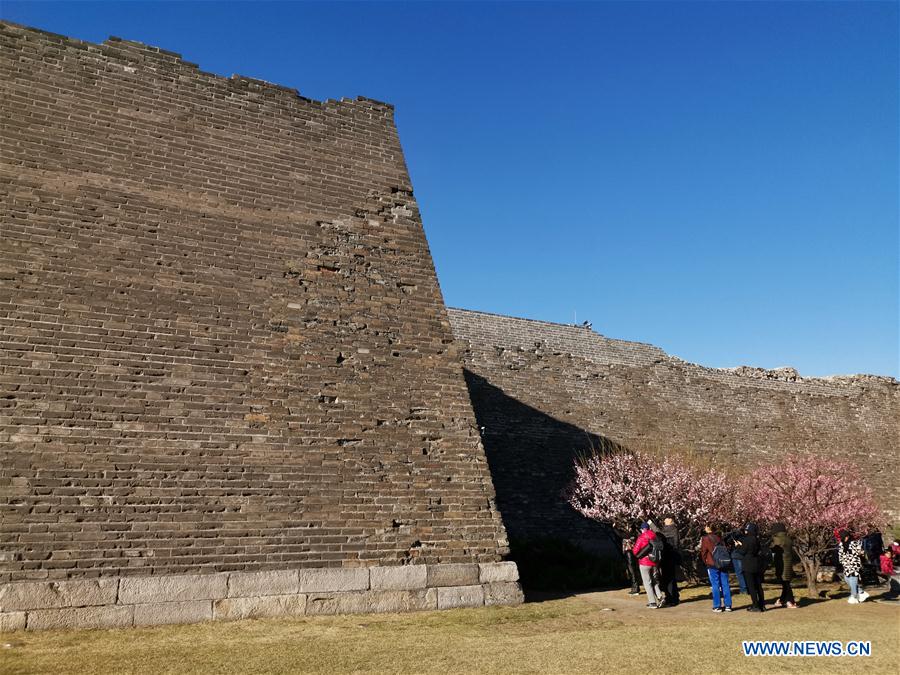 (Beijingcandid)CHINA-BEIJING-SPRING (CN)