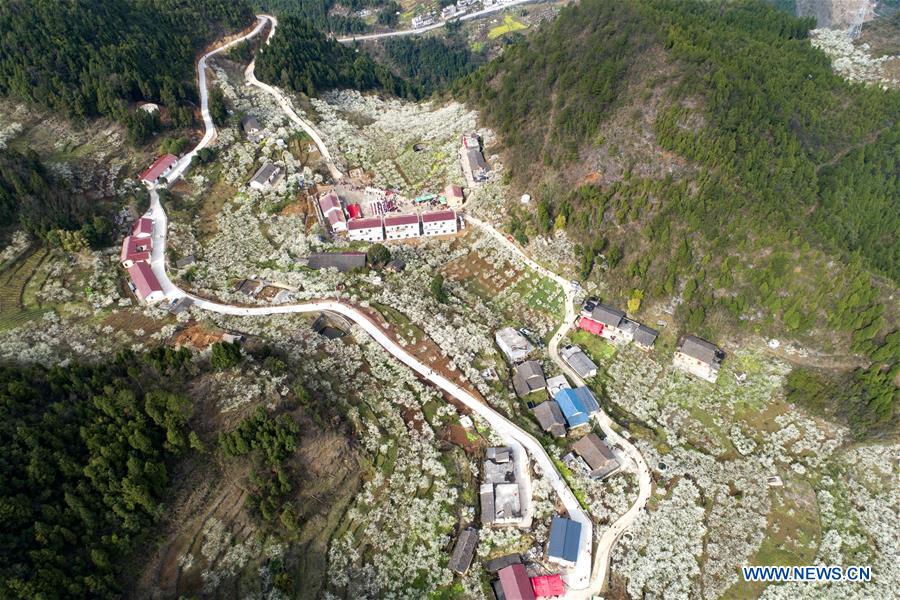 # CHINA-HUBEI-SPRING SCENERY-PLUM BLOSSOM (CN)