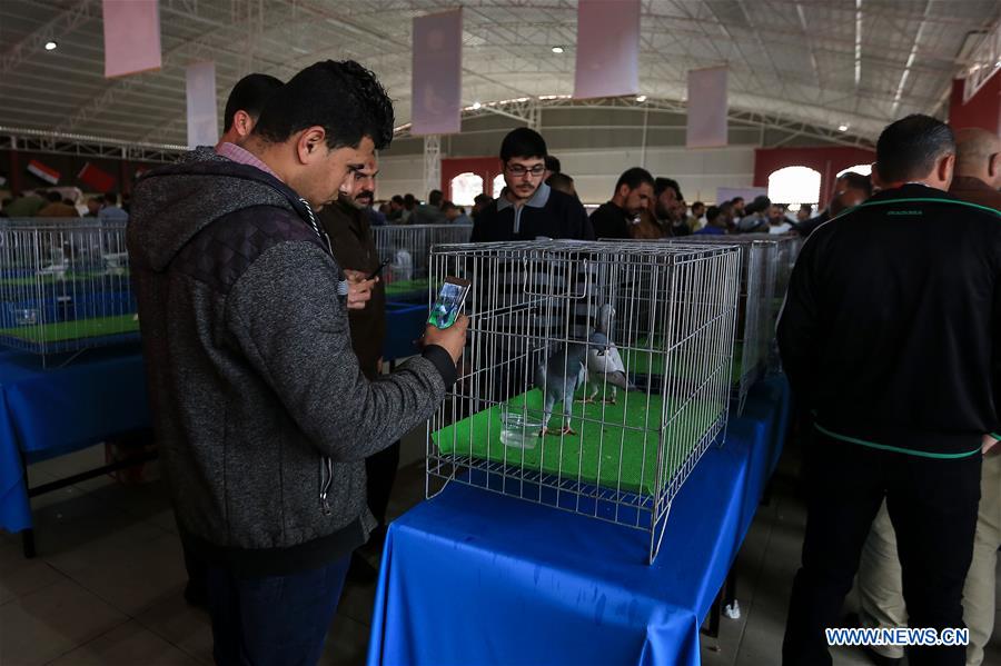 MIDEAST-GAZA-PIGEON-EXHIBITION