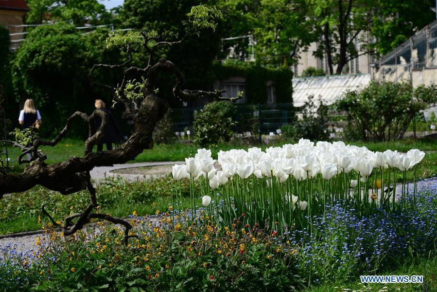 CROATIA-ZAGREB-BOTANICAL GARDEN