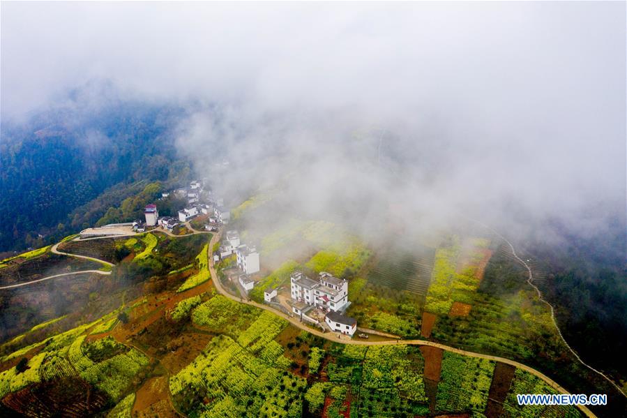 (EcoChina) CHINA-BEIJING-HORTICULTURAL EXPO-ANHUI (CN)