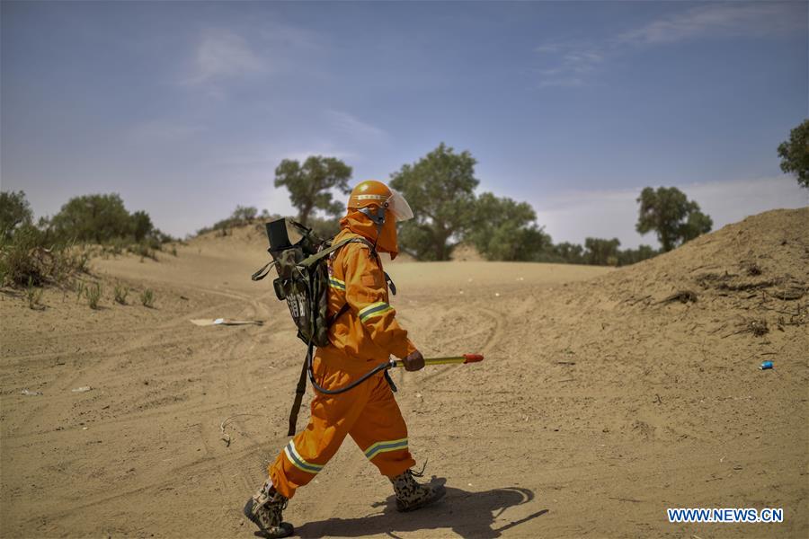 CHINA-XINJIANG-YULI-FOREST GUARD(CN)