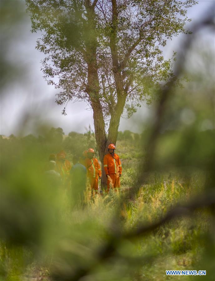 CHINA-XINJIANG-YULI-FOREST GUARD(CN)