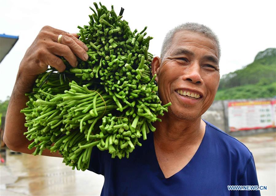 CHINA-GUANGXI-LIUZHOU-RIVER SNAIL RICE NOODLES-INGREDIENT-LONG BEAN (CN)