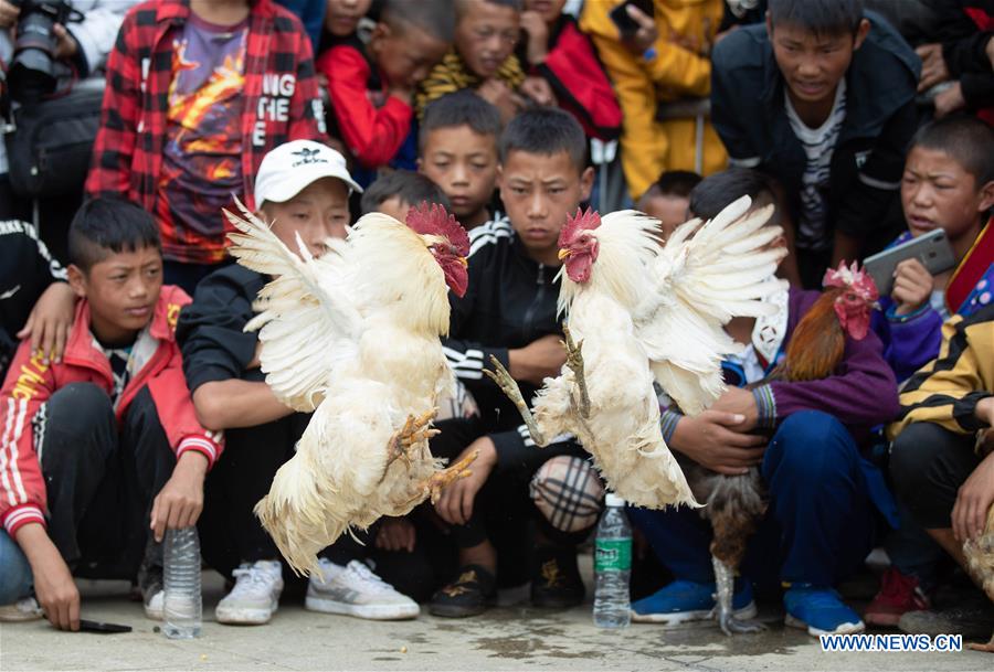 XINHUA PHOTOS OF THE DAY