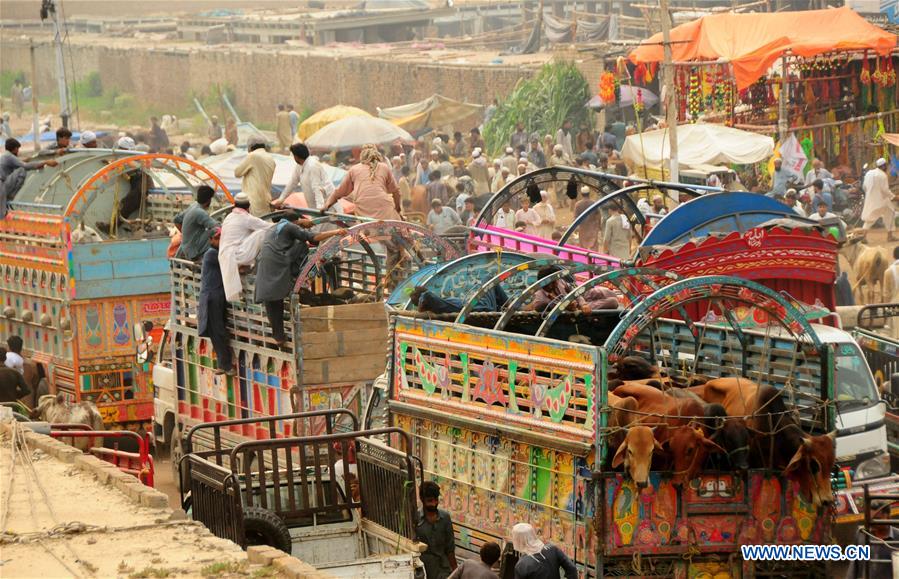 PAKISTAN-PESHAWAR-EID-AL-ADHA-LIVESTOCK