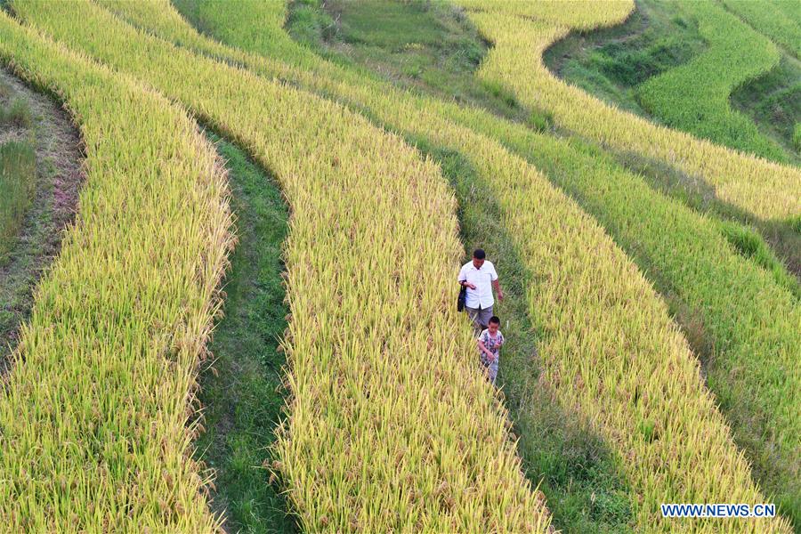 (FOCUS)CHINA-GUIZHOU-RURAL SCHOOL-NEW SEMESTER (CN)