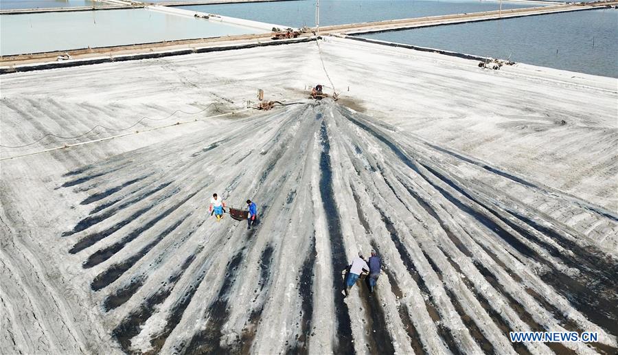 #CHINA-JIANGSU-LIANYUNGANG-SALT HARVEST