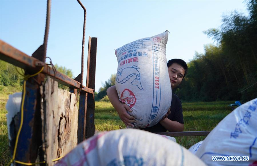 CHINA-JIANGXI-LICHUAN-FARMER-PAINTER (CN)