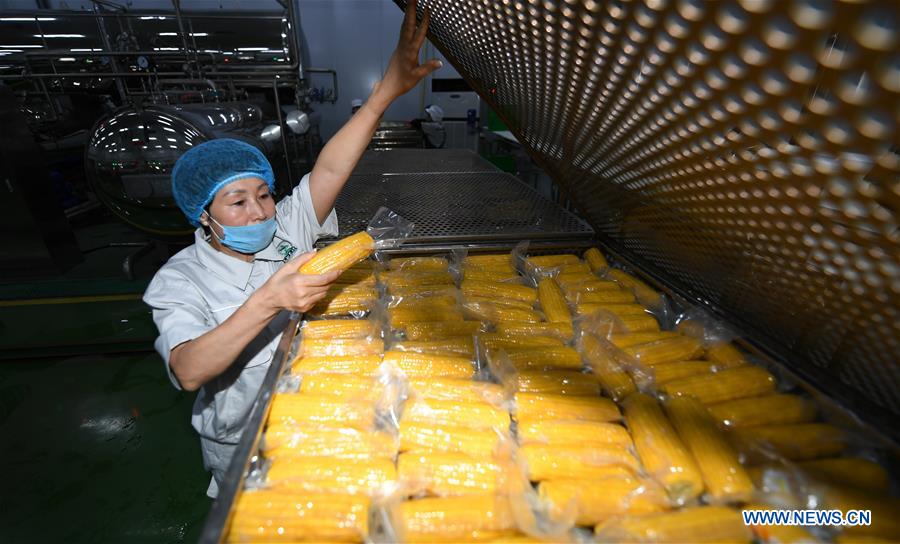 CHINA-JILIN-CORN-BUSINESS (CN)