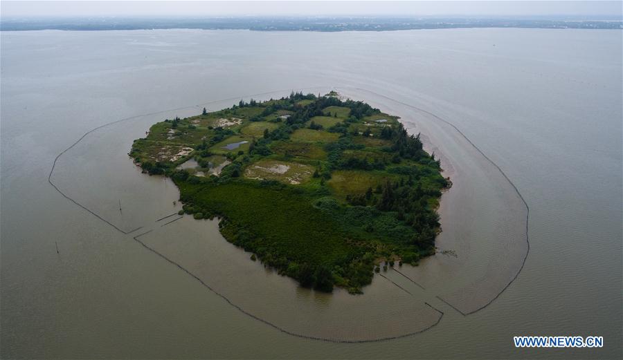 CHINA-HAINAN-MANGROVE-RESERVE (CN)