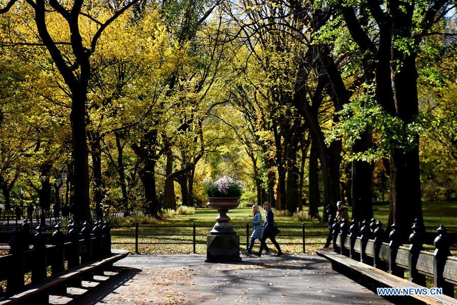 U.S.-NEW YORK-AUTUMN SCENERY