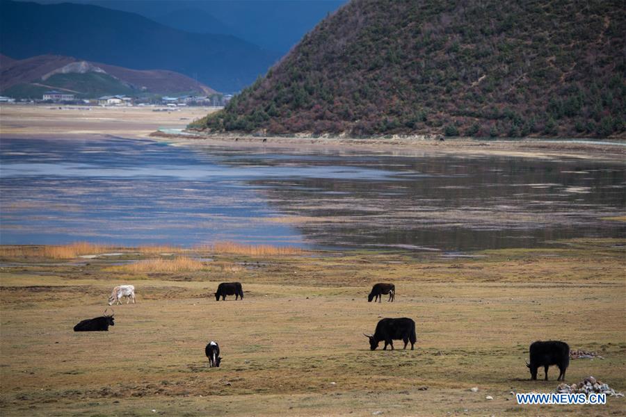 CHINA-YUNNAN-DEQEN-SCENERY (CN)