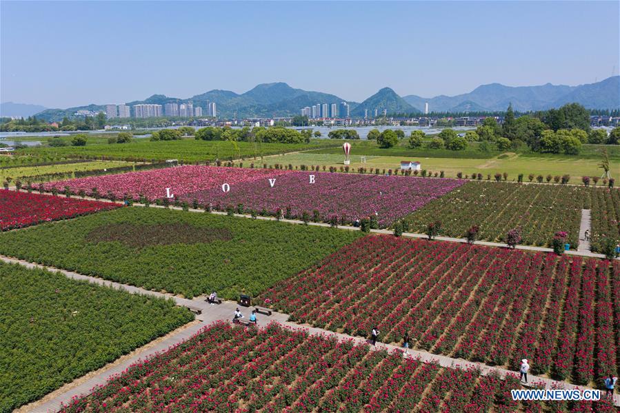 CHINA-ZHEJIANG-HANGZHOU-ROSE GARDEN (CN)