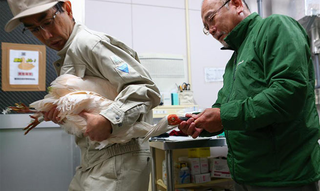 Crested ibises gifted by China arrive in Japan as symbol of friendship