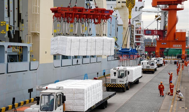 Tian Xi vessel arrives at Qingdao Port after wrapping up voyage through Arctic shipping route