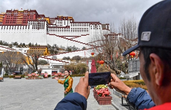 Potala Palace holds live streaming tour session