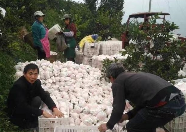 “小众”旅游悄热漓水人家